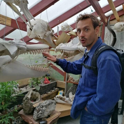 Bastien  zoekt een Kamer / Appartement / Studio in Antwerpen