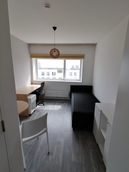 Gehele kamer (bureau, tafel met 2 stoelen, bed, boekenrek, kleerkast)